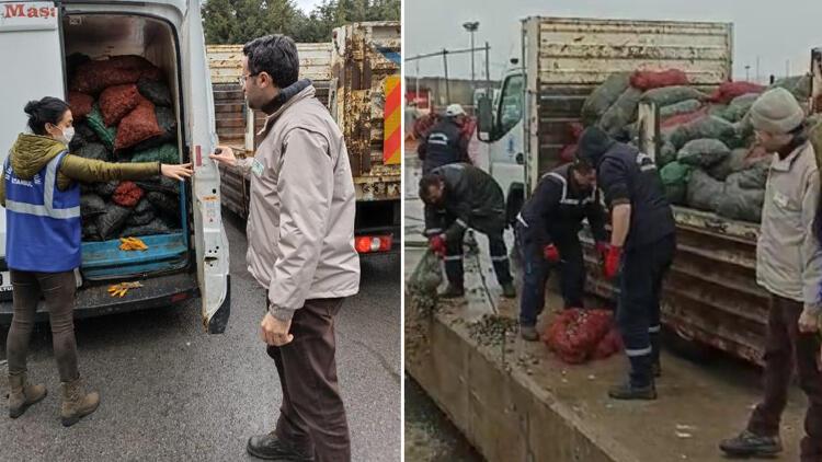 İstanbul’da kaçak avlanan 10 ton midyeye el konuldu