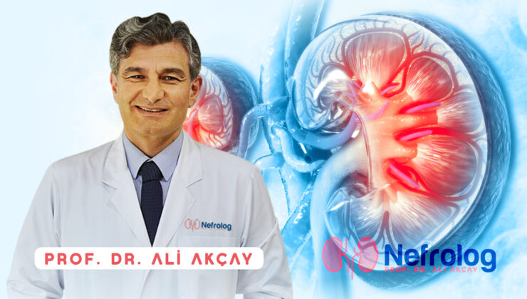 Ankara Böbrek Hastalıkları Doktoru Prof. Dr. Ali Akçay