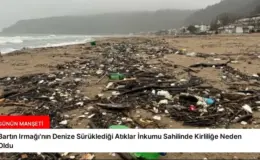 Bartın Irmağı’nın Denize Sürüklediği Atıklar İnkumu Sahilinde Kirliliğe Neden Oldu