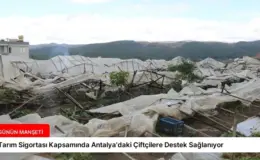 Tarım Sigortası Kapsamında Antalya’daki Çiftçilere Destek Sağlanıyor