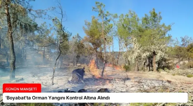 ‘Boyabat’ta Orman Yangını Kontrol Altına Alındı