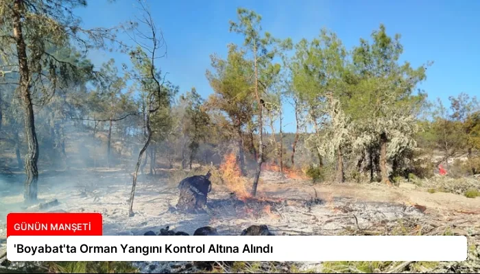 ‘Boyabat’ta Orman Yangını Kontrol Altına Alındı