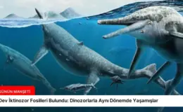 Dev İktinozor Fosilleri Bulundu: Dinozorlarla Aynı Dönemde Yaşamışlar