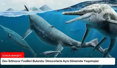 Dev İktinozor Fosilleri Bulundu: Dinozorlarla Aynı Dönemde Yaşamışlar